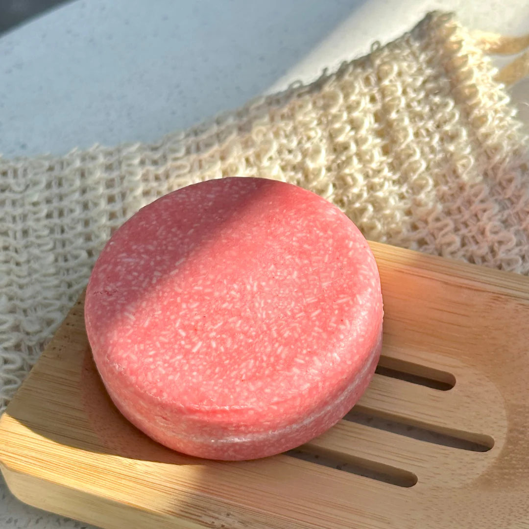 Cinnamon Shampoo Bar Bundle